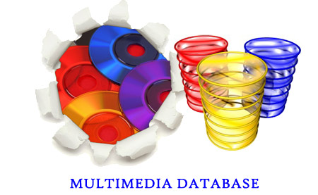 Multimedia-Database