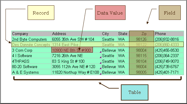 Relational Database