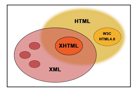 What is a XML Database? XML HTML