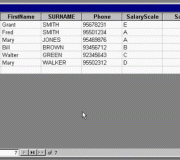 Flat File Database