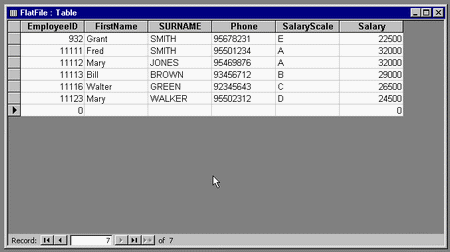 What is a Flat File Database? Flat File Database